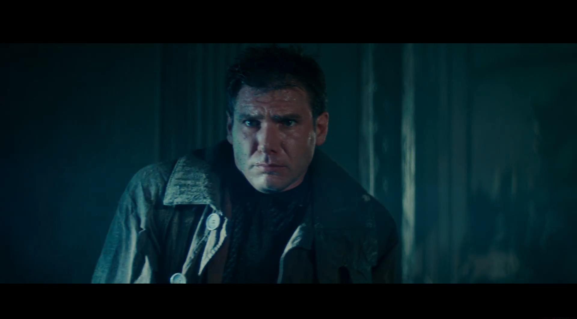 银翼杀手.Blade.Runner.The.Final.Cut.1982.BluRay.1080p.2Audio.x264.AAC-TYZH.国英.jpg