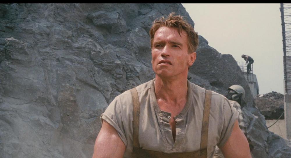 宇宙威龙.Total.Recall.1990.CAN.Blu-ray.1080p.x264.AAC-TYZH.内参国语，台配国语，.jpg