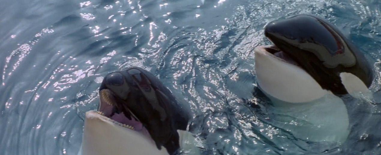 [恐怖触须].Tentacles.1977.1080p.BluRay.x264.Chi.Eng-YIFY.V2.mkv_20180501_223944.343.jpg