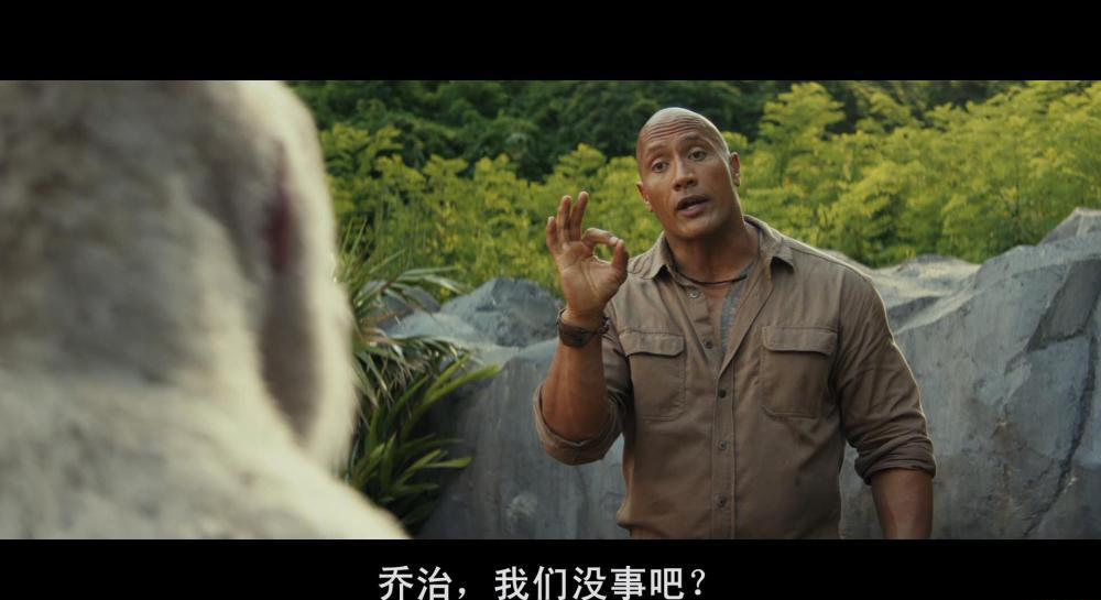 狂暴巨兽.Rampage.2018.BluRay.1080p.x264.AAC-TYZH.中影公映国语，英语_20180708164611.JPG