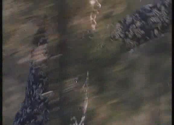 暴风截图20189203382990.jpg