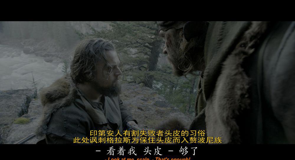 The.Revenant.2015.2160p.BluRay.REMUX.HEVC.DTS-HD.MA.7.1-FGT.mkv_20181110_125157.536.jpg
