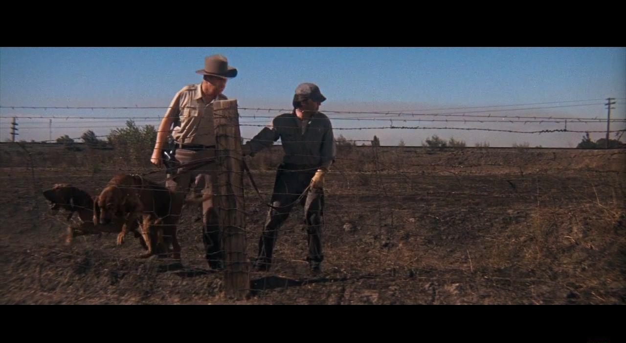 铁窗喋血(1967 美国) 8.1分 剧情 犯罪.mkv_20190217_000455.232.jpg