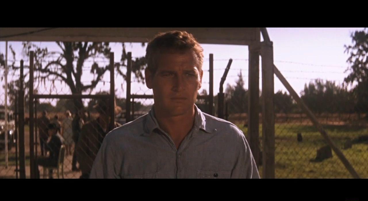 铁窗喋血(1967 美国) 8.1分 剧情 犯罪.mkv_20190217_000650.736.jpg