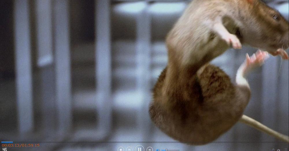 [透明人（Hollow.Man）].2000.DC.BluRay.720P.DTS.x264-CHD (1).mkv_000313.797.jpg