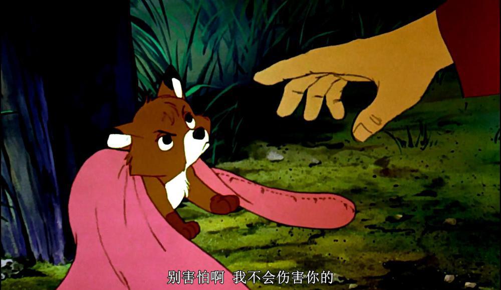 狐狸与猎狗_20190217225812.JPG