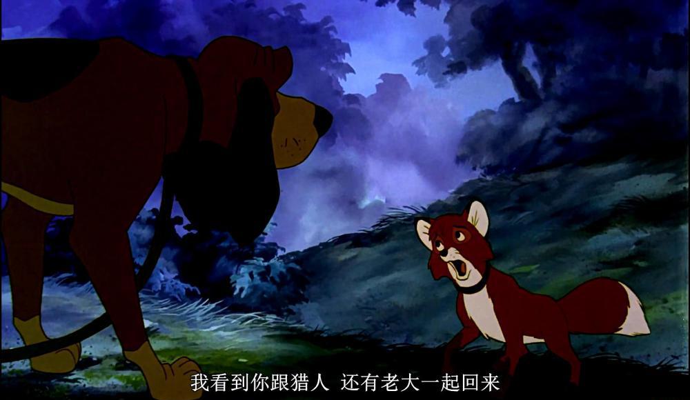狐狸与猎狗_20190217225956.JPG