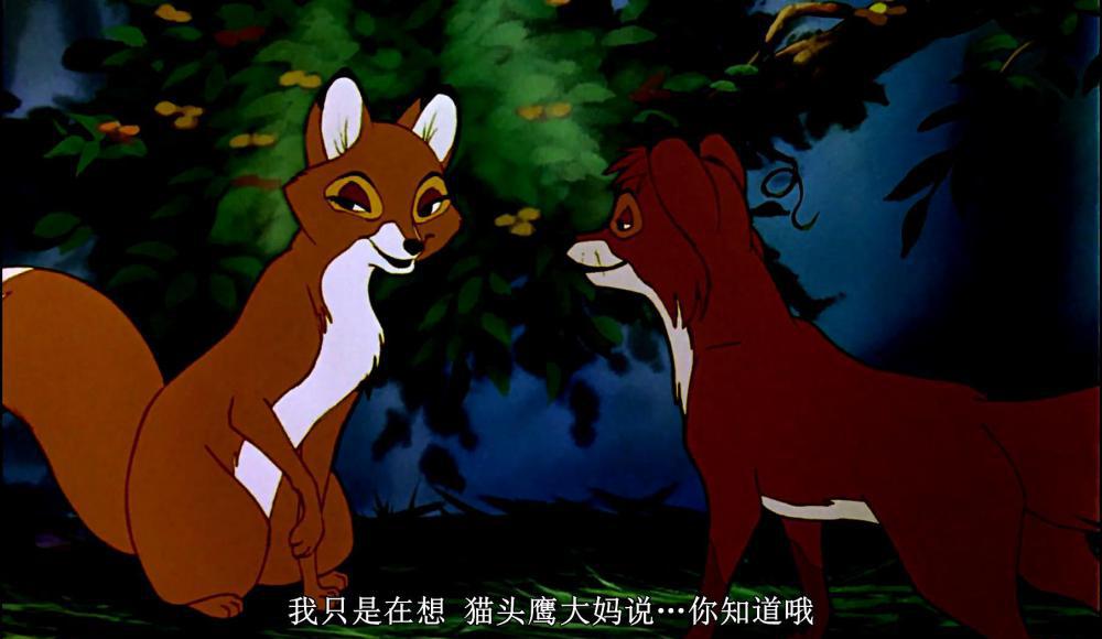 狐狸与猎狗_20190217230017.JPG