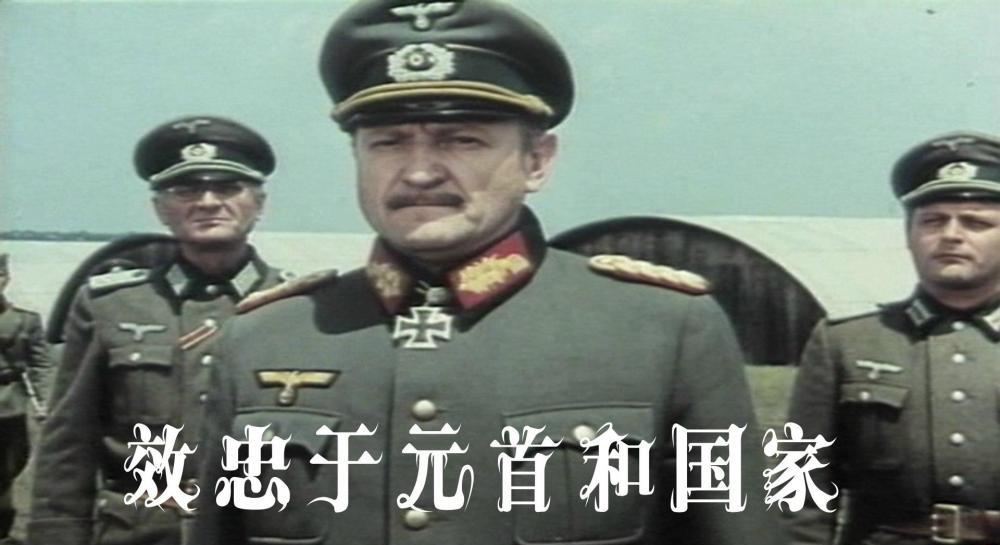效忠于元首和国家.jpg