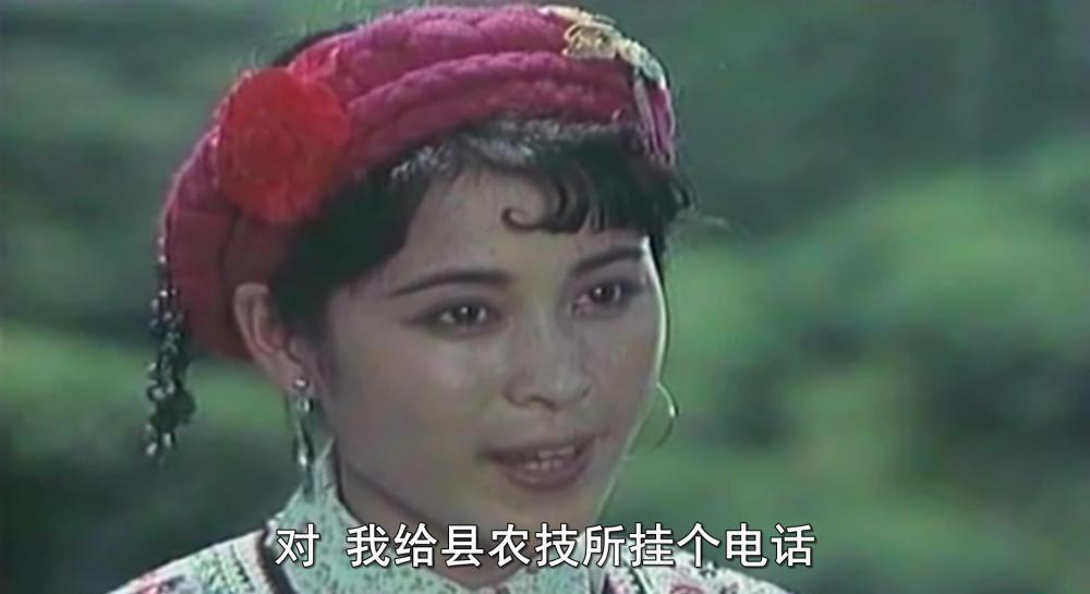 喜鹊岭茶歌.mp4_20190313_052025.380.jpg