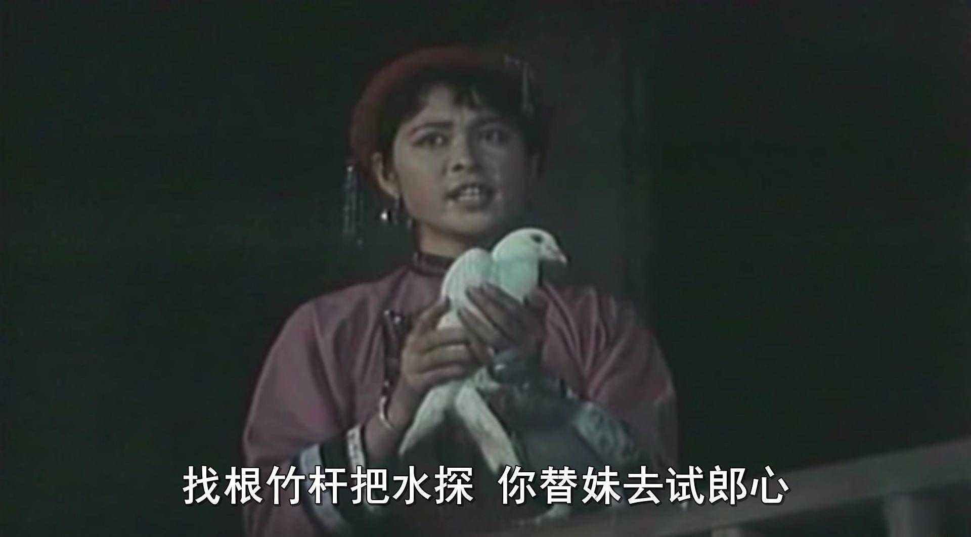 喜鹊岭茶歌.mp4_20190313_054446.748.jpg