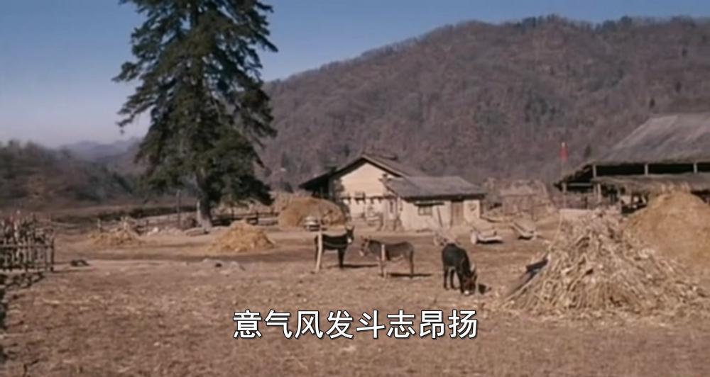 走着瞧.mkv_20190318_085307.165.jpg