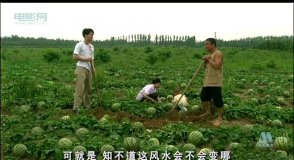 春娥.mp4_20190326_190303.809.jpg