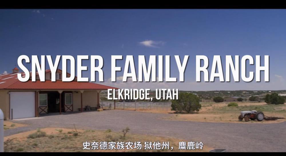 马背传奇.Walk.Ride.Rodeo.2019.HD720P.英语中字.BTDX8_20190327142031.JPG