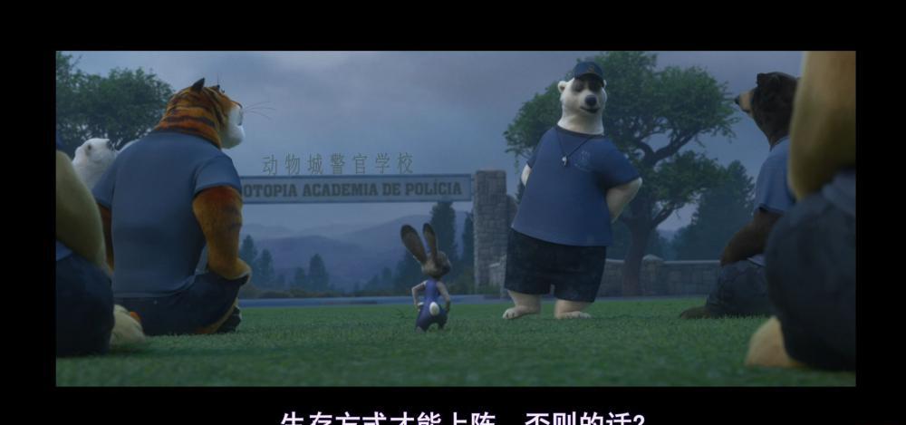 捕获1114.JPG