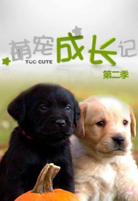 timg_image&amp;quality=80&amp;size=b9999_10000&amp;sec=1555918163169&amp;di=177c4e532a292cf320.jpg