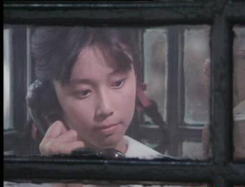 Father and Son Part 2 (1981) Allen Fong, Cantonese, no subtitles, open using VLC Playe.jpg