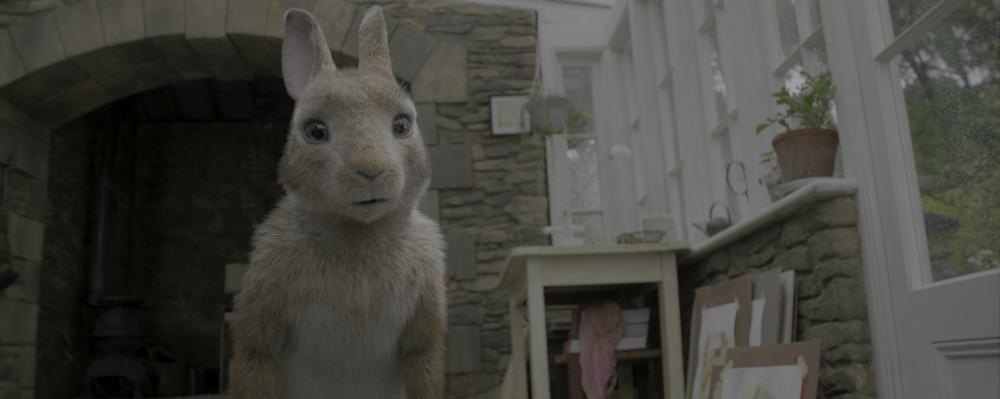 Peter Rabbit 2018 BluRay 2160p Atmos TrueHD7 1 3Audio x265 10bit-CHD.mkv_20190516_2148.jpg