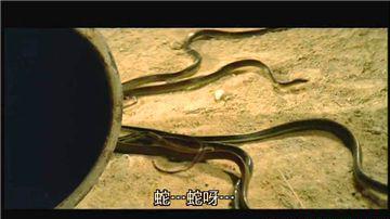 480P.国语中字_20190524093351.jpg