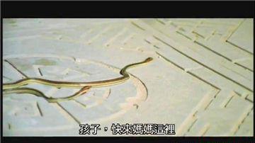 480P.国语中字_20190524093754.jpg