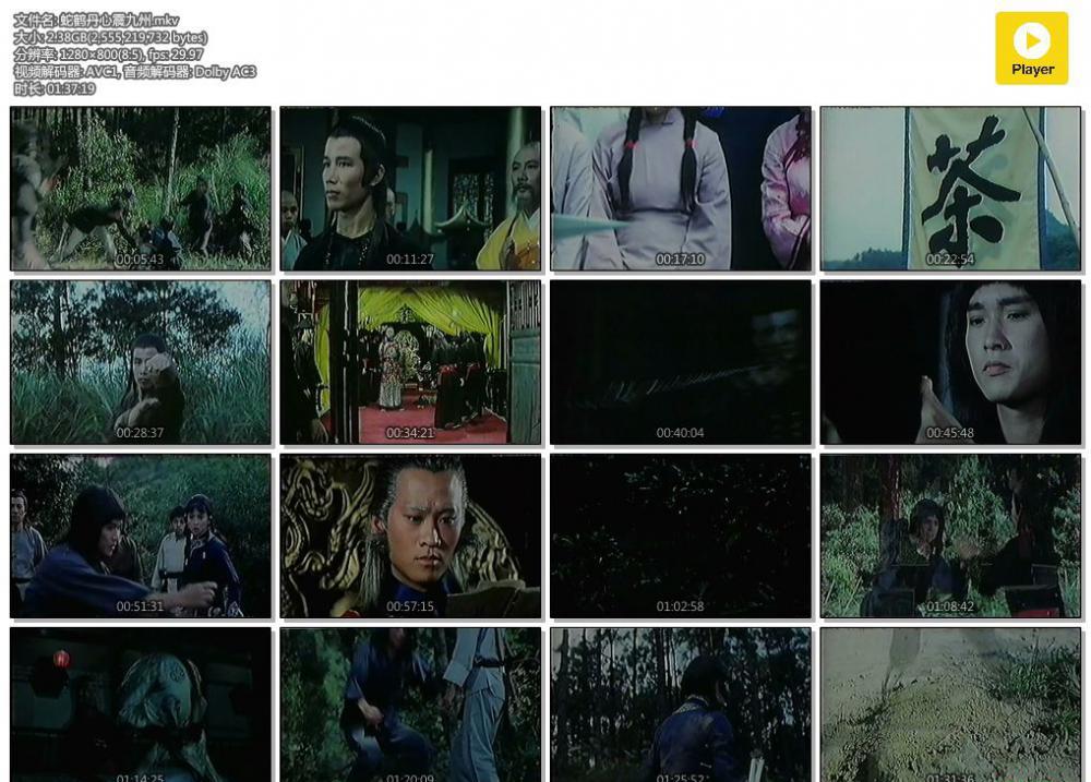 蛇鹤丹心震九州.mkv.jpg