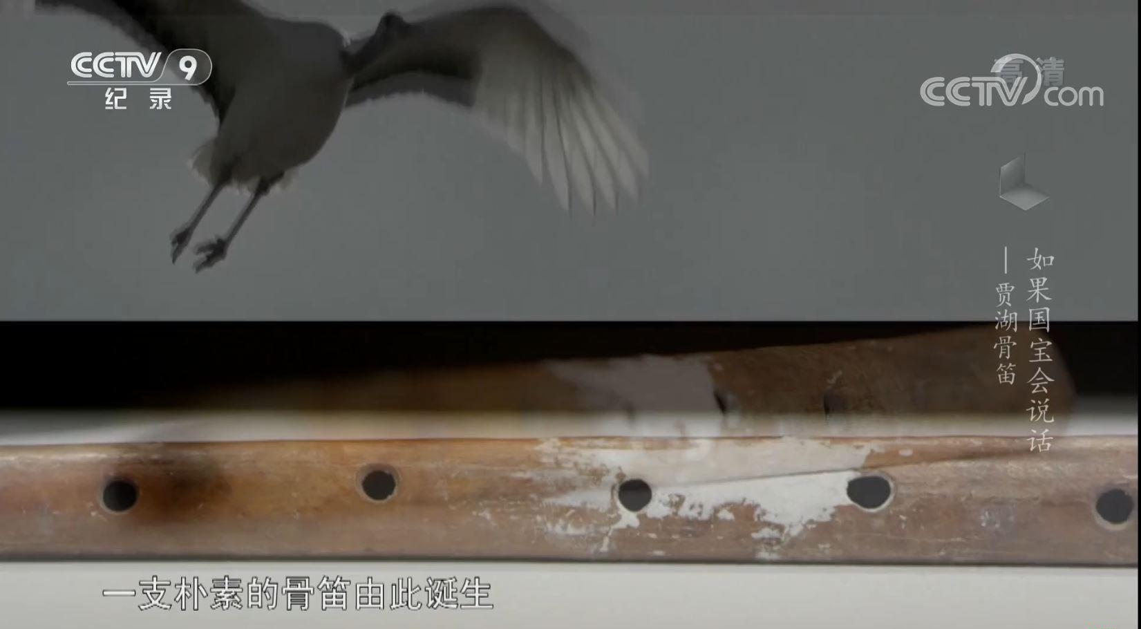 捕获2.JPG