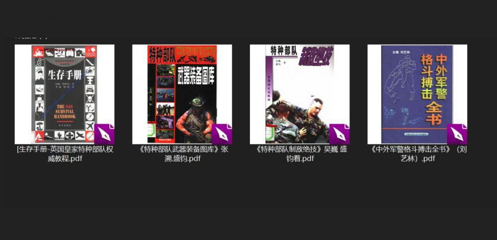 捕获4.JPG