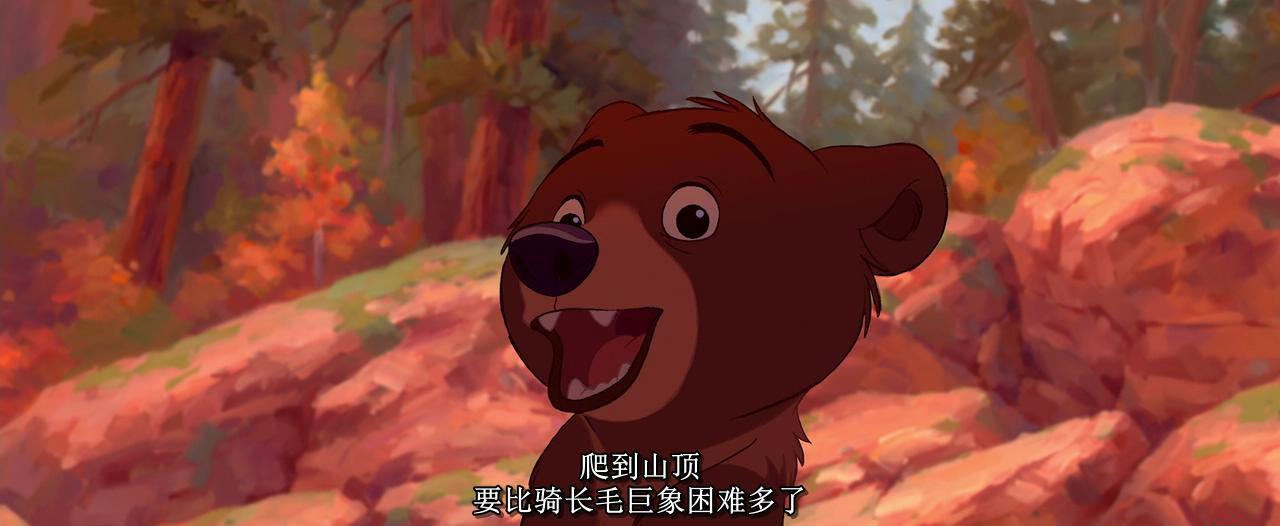 熊的传说_20190730161503.JPG
