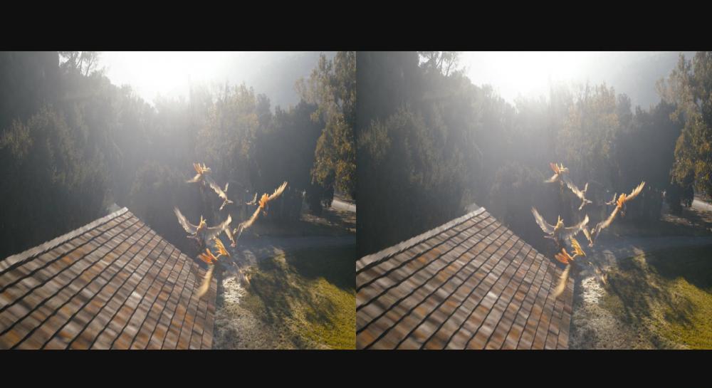dztpkq.mkv0_20190809_032026.616.jpg