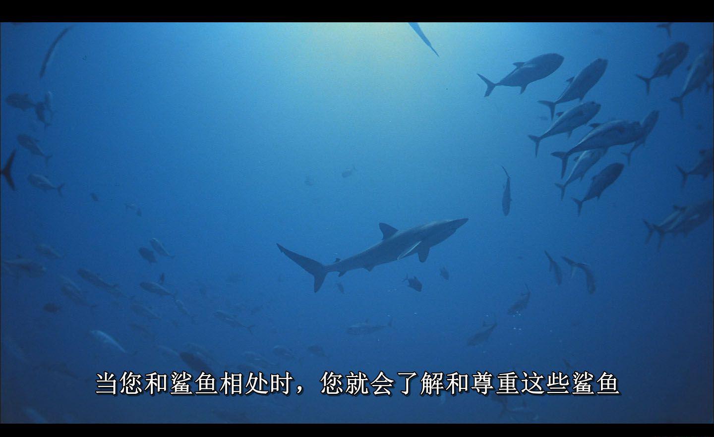 绿2.jpg