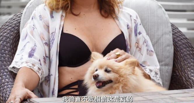 QQ截图20190823113943.jpg