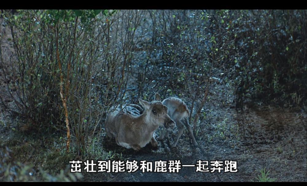 北1.jpg
