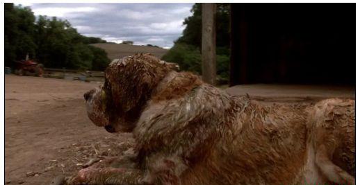 狂犬惊魂 (3.1).jpg