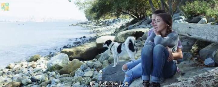 QQ截图20190905083730.jpg