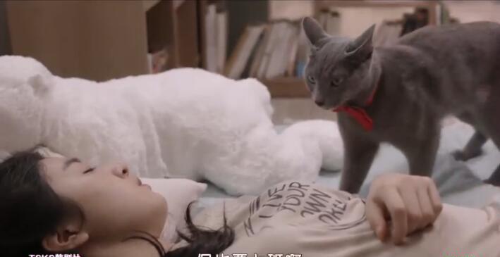 QQ截图20190905184918.jpg