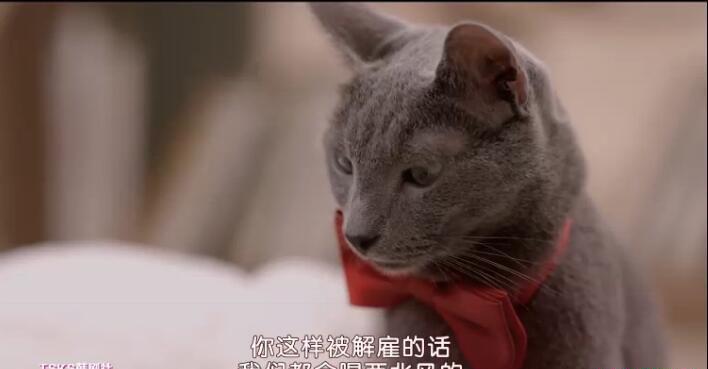QQ截图20190905184939.jpg
