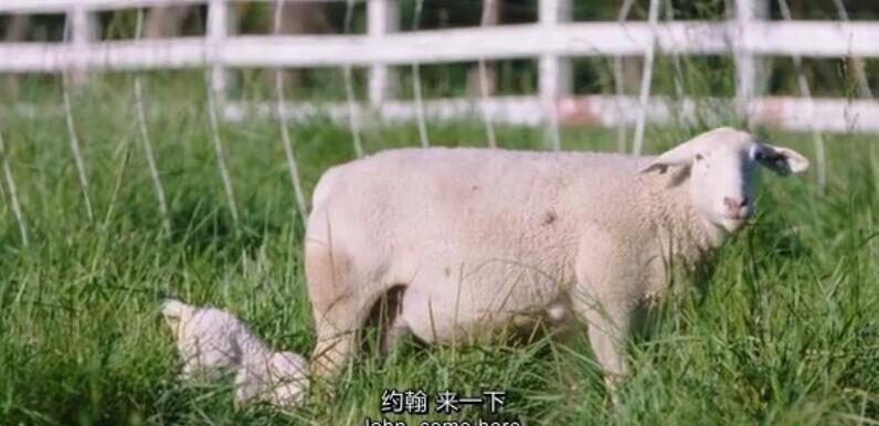 QQ截图20190908195445.jpg