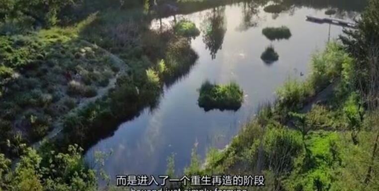 QQ截图20190908195456.jpg