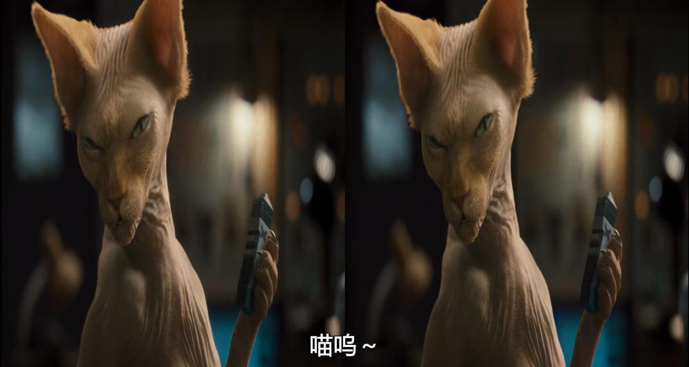 QQ截图20190909195925.jpg