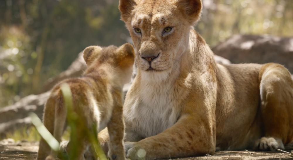 狮子王真人版.国粤英Lion.King.2019.1080p.Bluray.DTS-HD.MA.7.1.X264-EVO[EtHD] (1).mkv_20.jpg