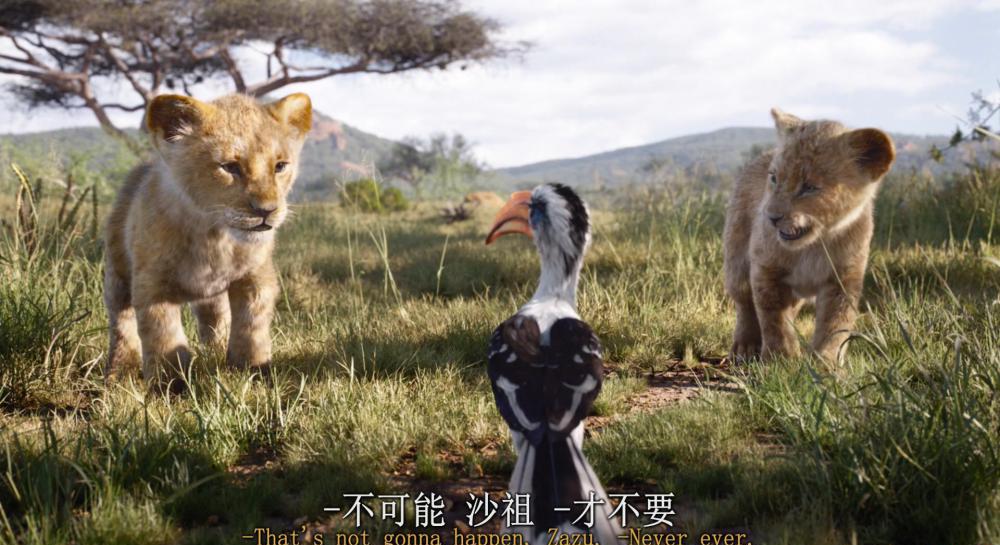 狮子王真人版.国粤英Lion.King.2019.1080p.Bluray.DTS-HD.MA.7.1.X264-EVO[EtHD] (1).mkv_20.jpg