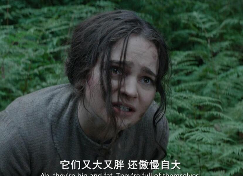QQ截图20191102110303.jpg