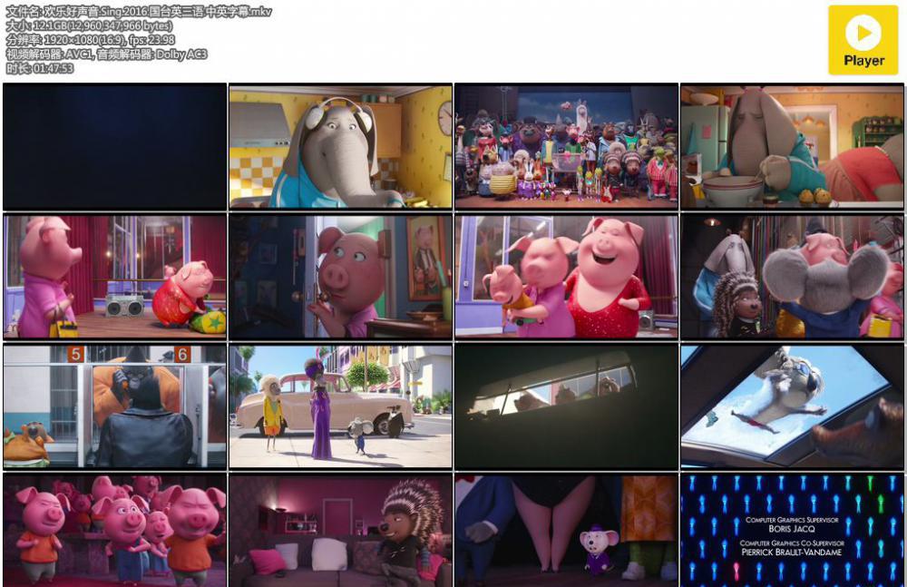 欢乐好声音.Sing.2016.国台英三语.中英字幕.mkv.jpg