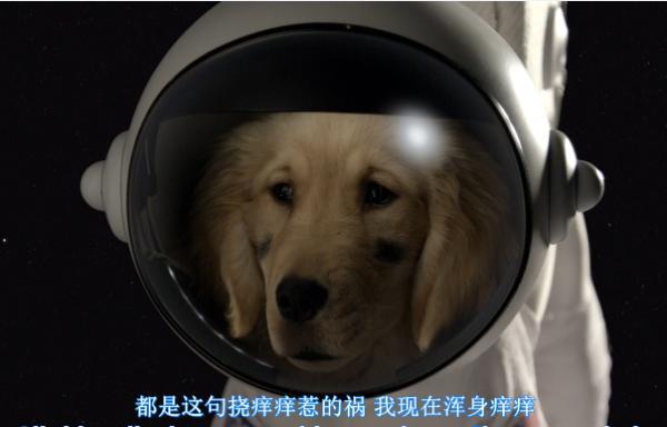 Snipaste_2019-11-08_20-16-26.png