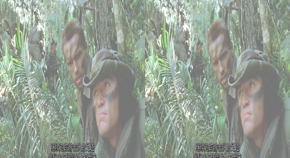 006.jpg