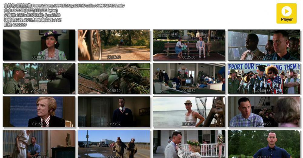 阿甘正传.Forrest.Gump.1994.BluRay.x264.6Audio.AAC.HALFCD5.mkv.jpg