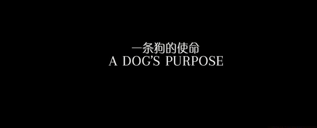 一条狗的使01.jpg