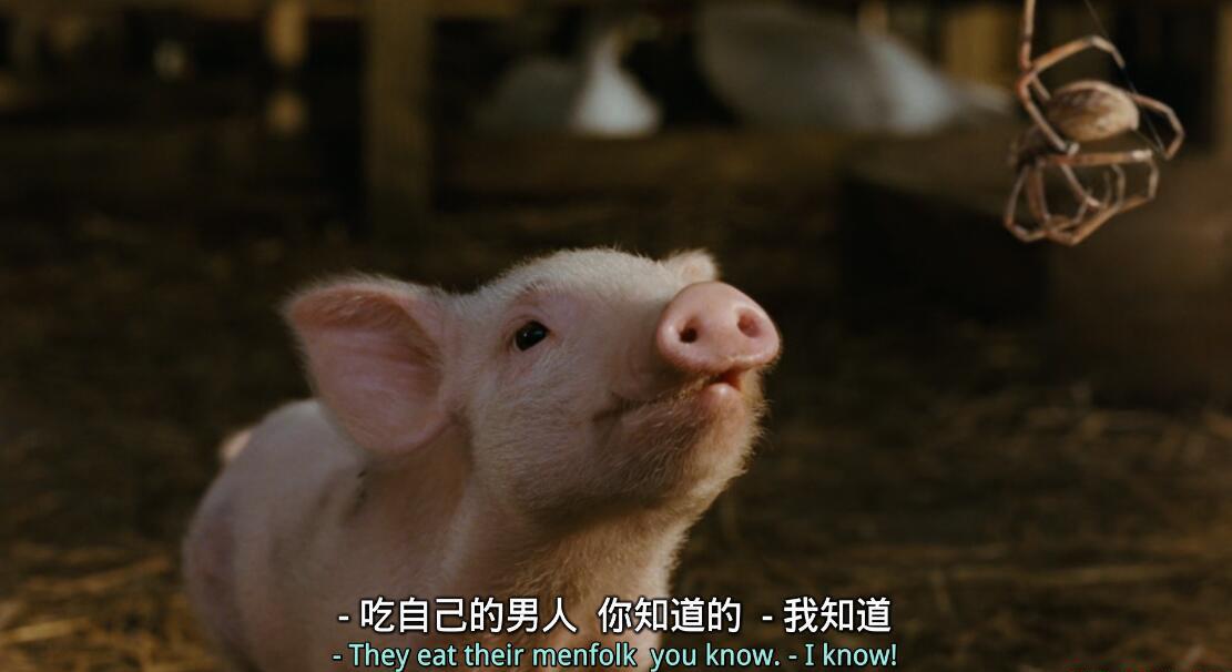 夏洛特的网08.jpg