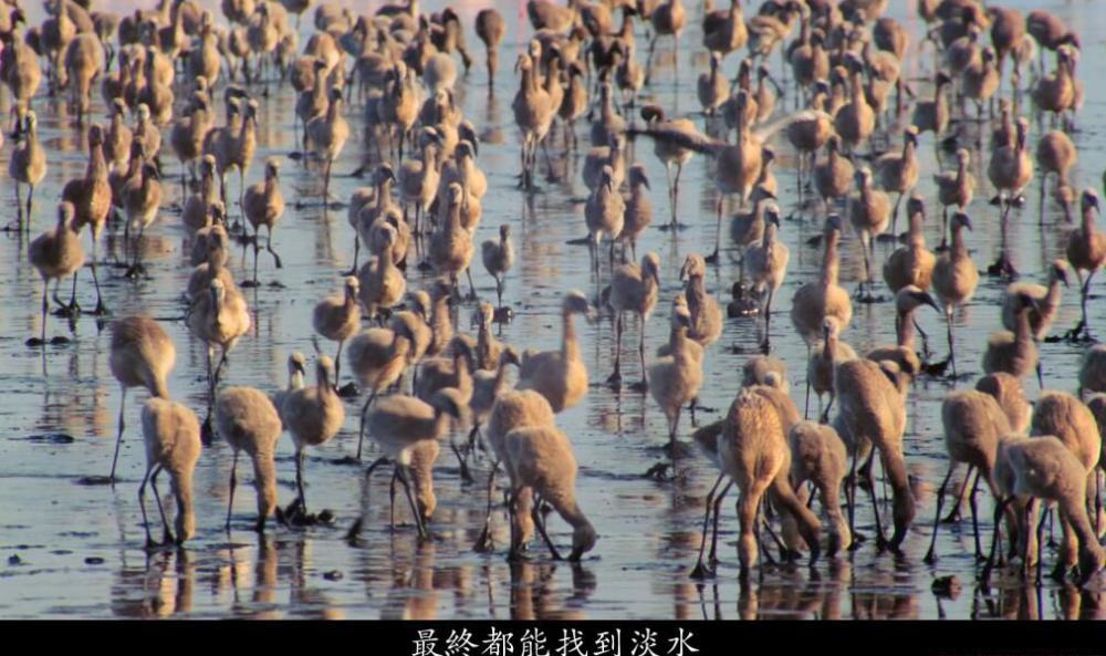 TIM截图20200809112159.jpg