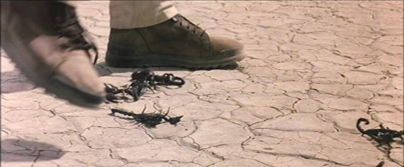 非洲历险记 Lost In Africa&amp;#8206; (1994).mkv_20200819_102920.097.jpg